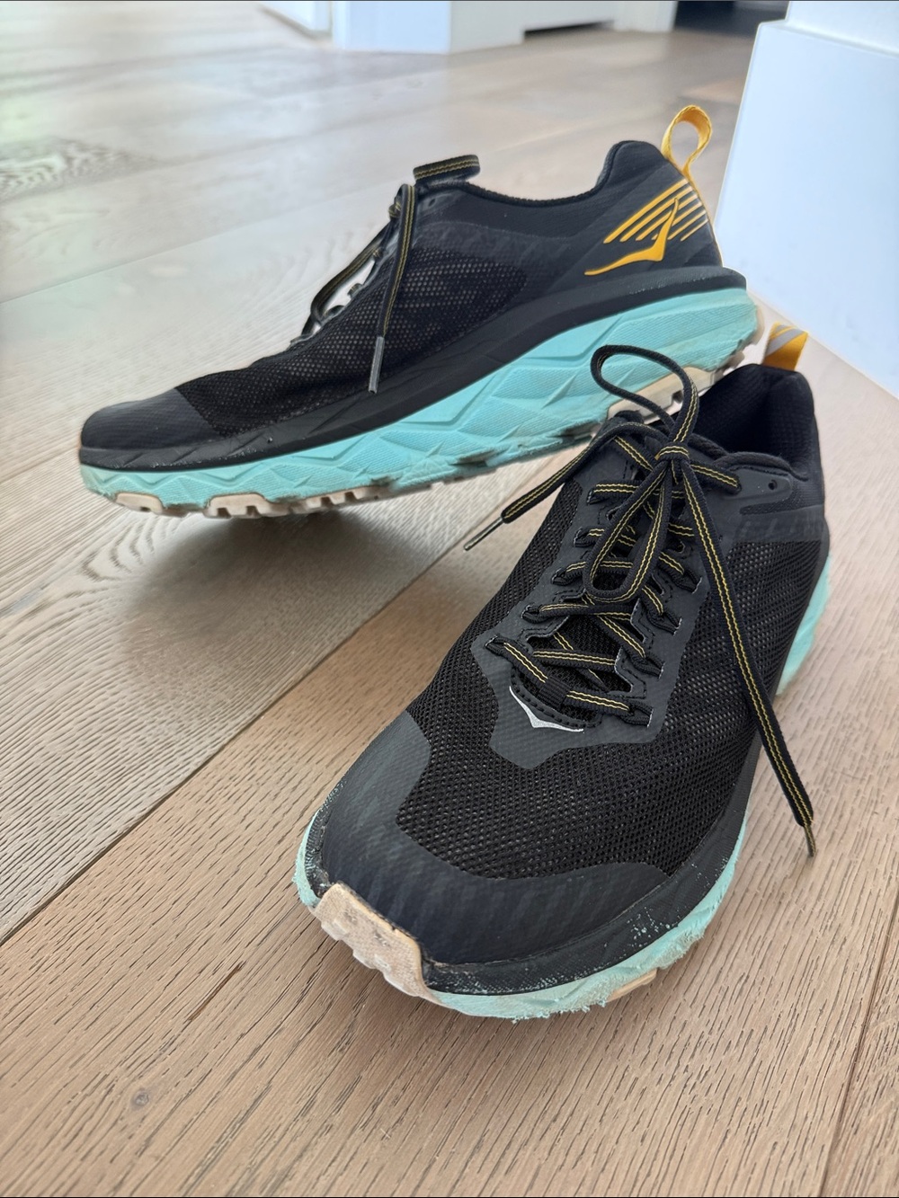 HOKA CHALLENGER HIKING SHOE